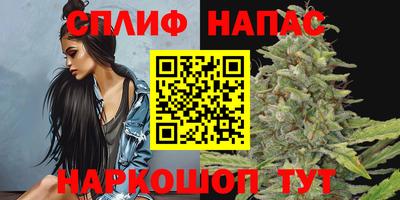 МДПВ Будённовск