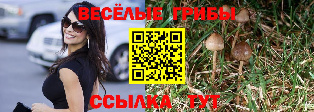 Славянск-на-Кубани  Галлюциногенные грибы Cubensis  закладка  Вход с VPN 